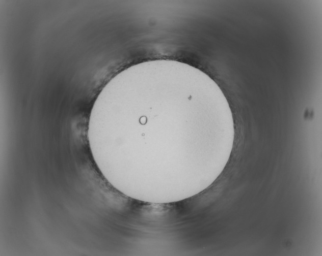 X0000115210672200911251509