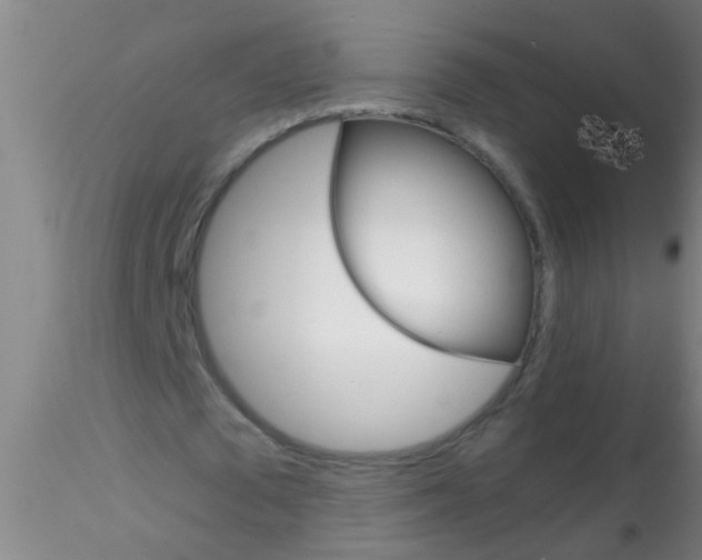 X0000115210673200911251508