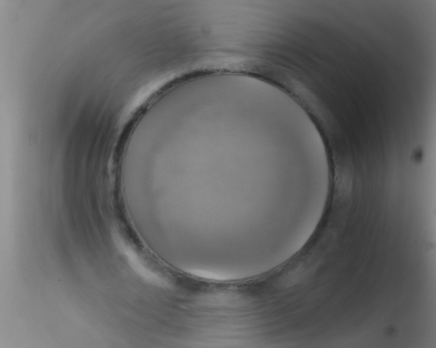 X0000115210674200911251508