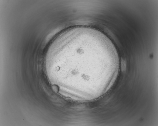 X0000115210675200911251508