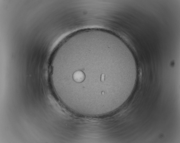 X0000115210676200911251508