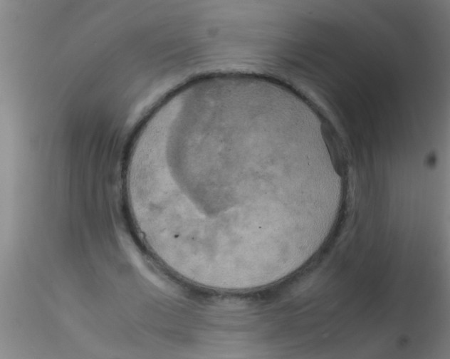 X0000115210677200911251508