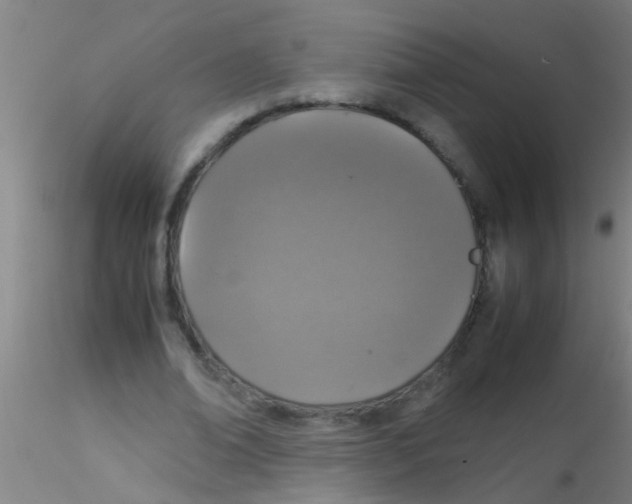 X0000115210678200911251508