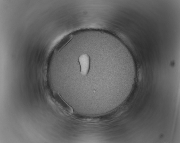 X0000115210680200911251508