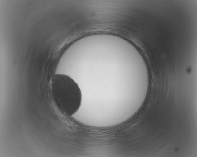 X0000115210681200911251508