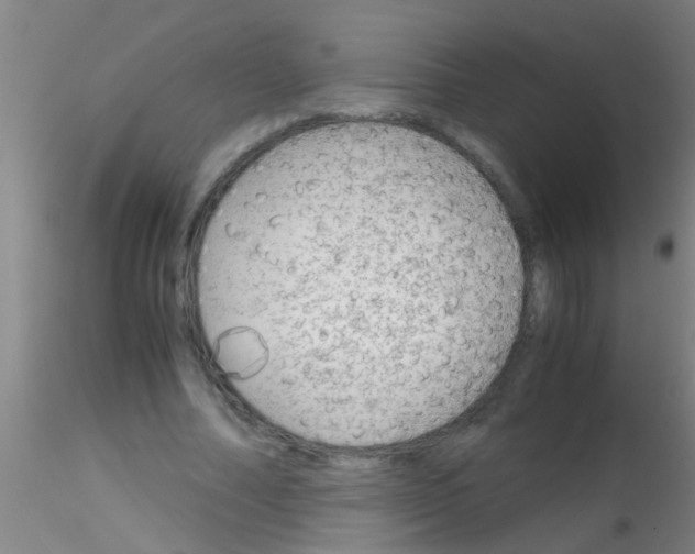 X0000115210682200911251508