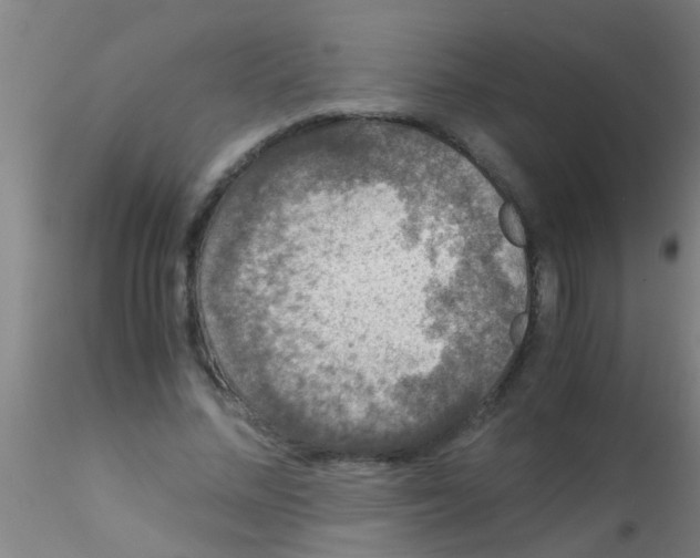 X0000115210684200911251508