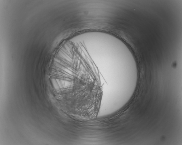 X0000115210685200911251508