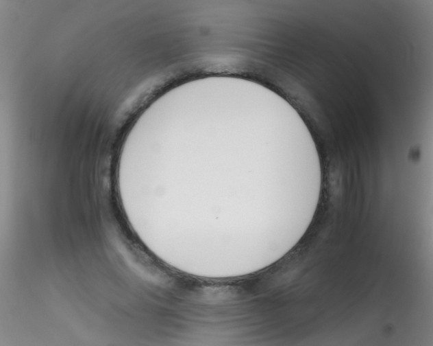 X0000115210686200911251508