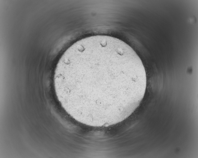 X0000115210687200911251508