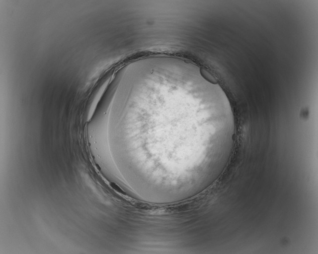 X0000115210688200911251508