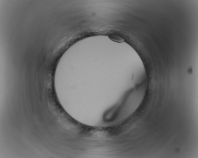 X0000115210689200911251508