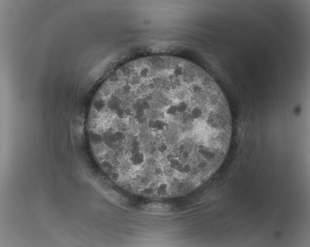 X0000115210691200911251508