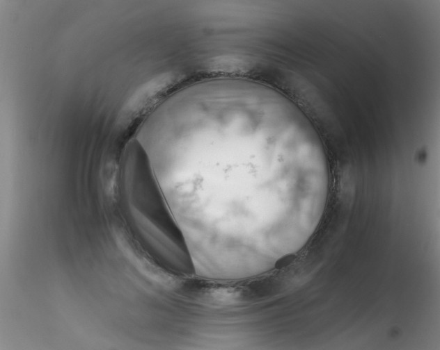 X0000115210692200911251508