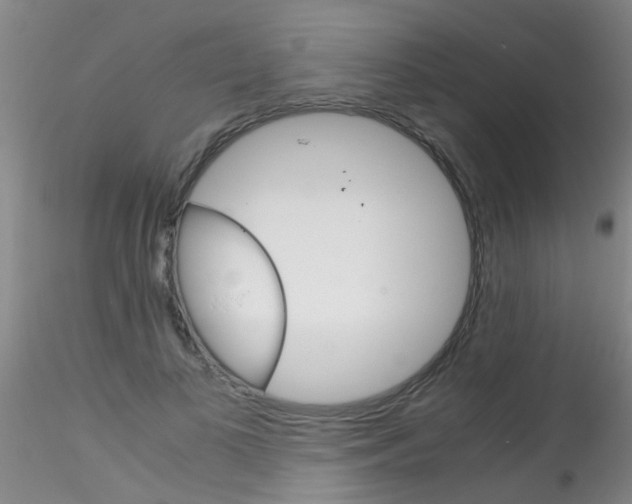 X0000115210693200911251508