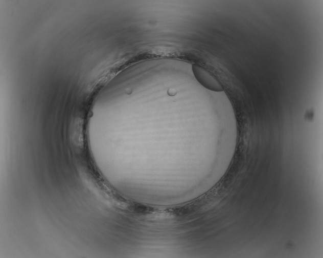 X0000115210696200911251508