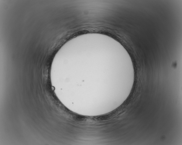 X0000115210697200911251508