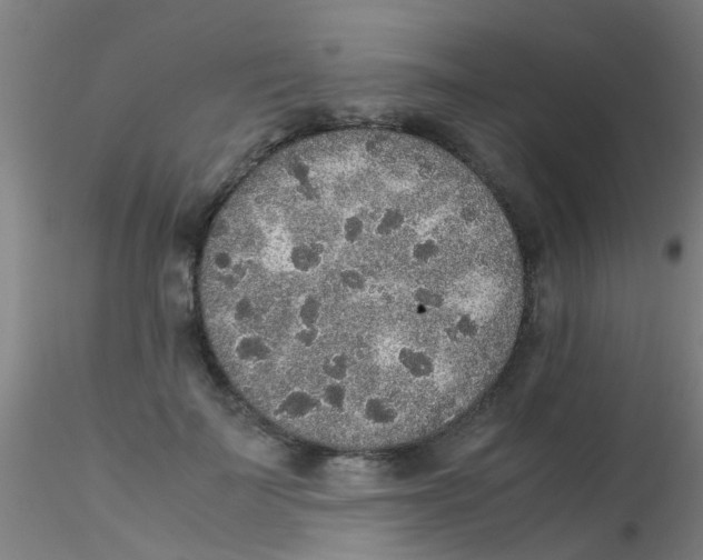 X0000115210699200911251508