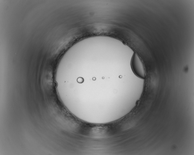 X0000115210700200911251508