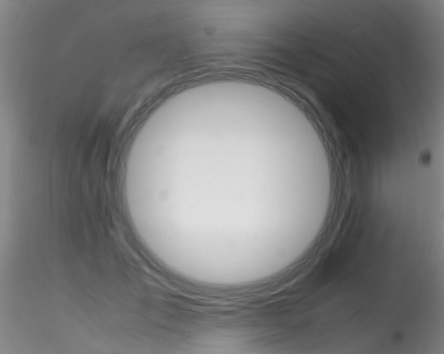 X0000115210701200911251508