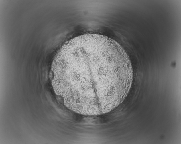 X0000115210703200911251508