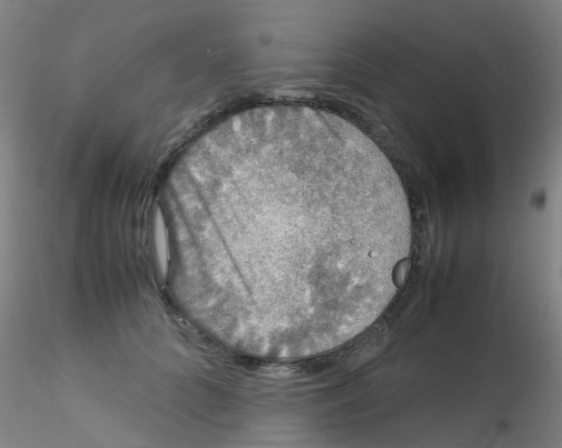 X0000115210704200911251508