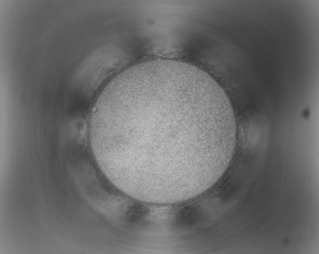 X0000115210705200911251508