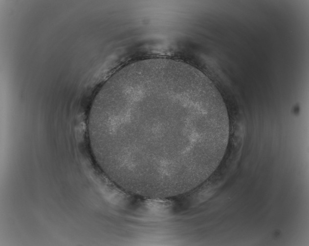 X0000115210707200911251508