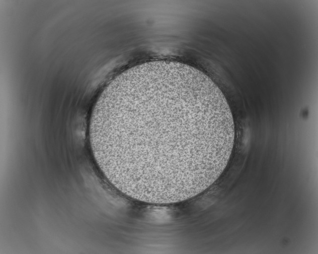 X0000115210710200911251508