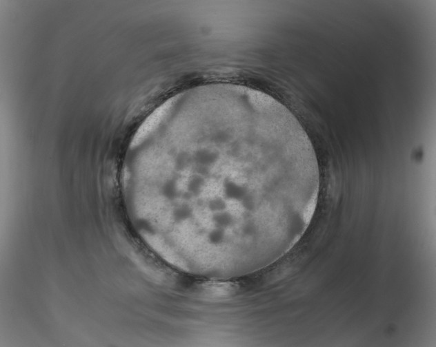 X0000115210711200911251508