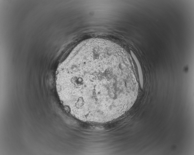 X0000115210715200911251507