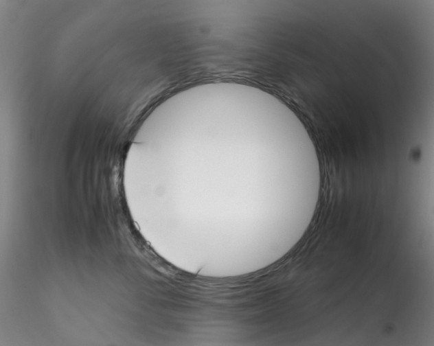 X0000115210716200911251507