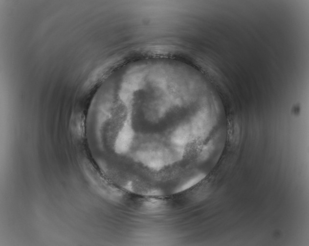 X0000115210718200911251507