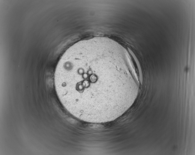 X0000115210719200911251507