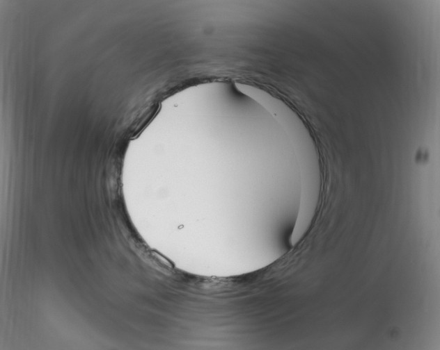 X0000115210720200911251507