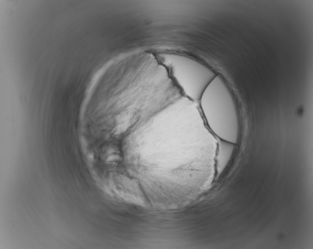 X0000115210721200911251507