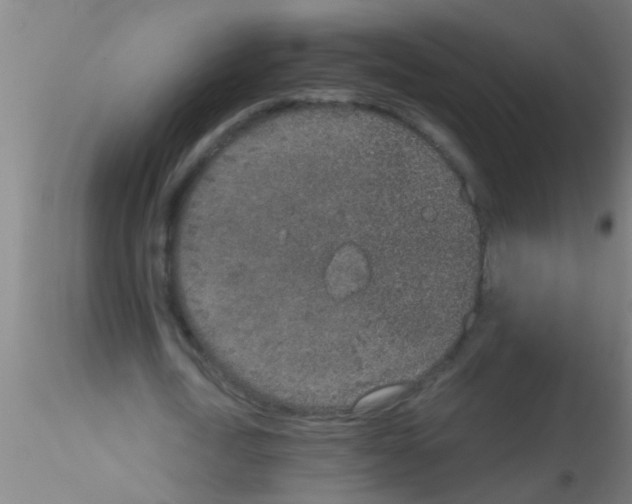 X0000115210722200911251507