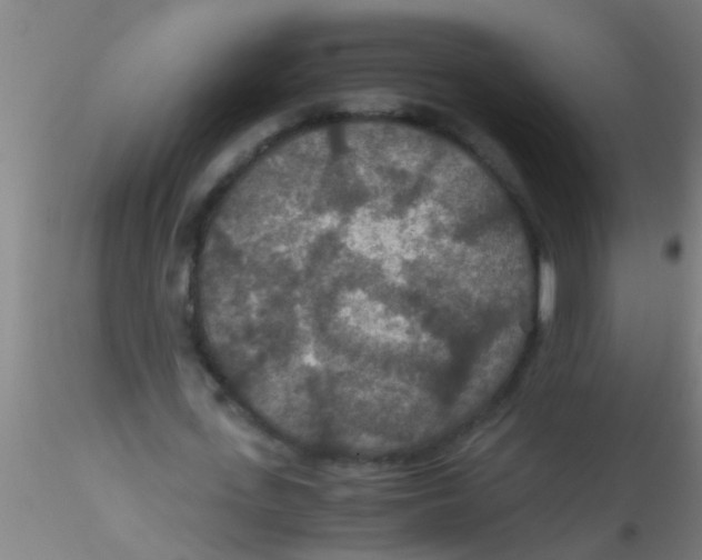 X0000115210723200911251507