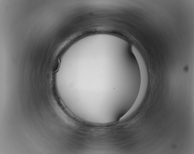 X0000115210725200911251507