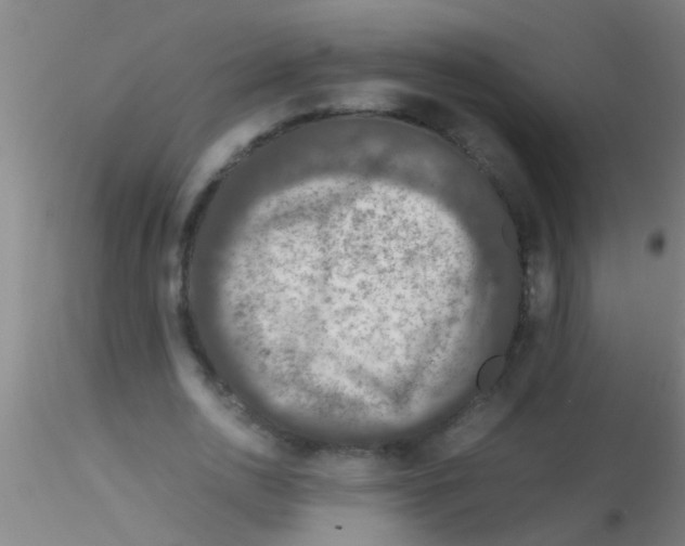 X0000115210726200911251507