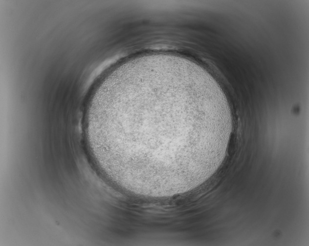 X0000115210727200911251507