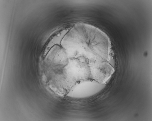 X0000115210729200911251507