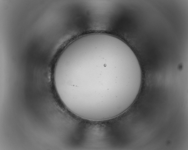 X0000115210731200911251507