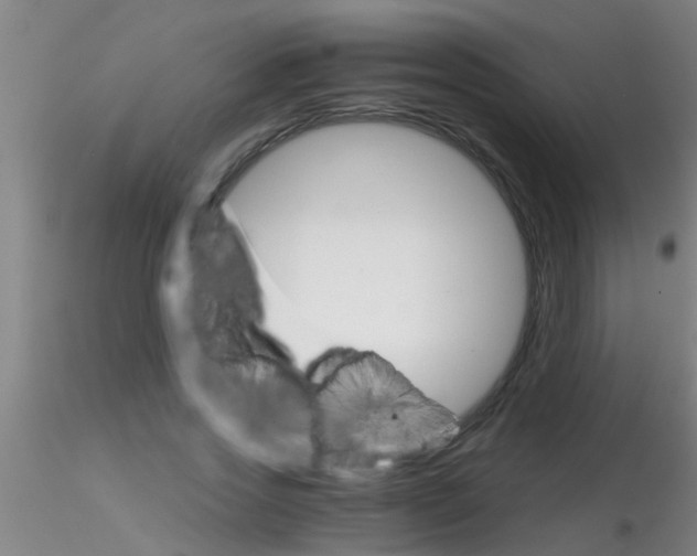 X0000115210733200911251507