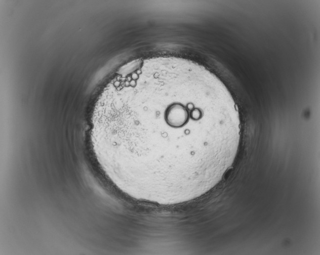 X0000115210734200911251507