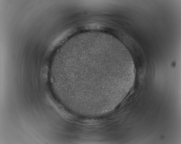 X0000115210735200911251507