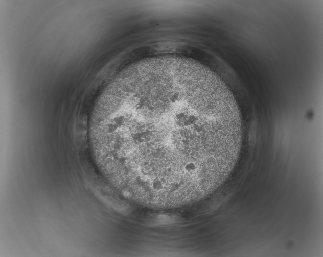 X0000115210737200911251507