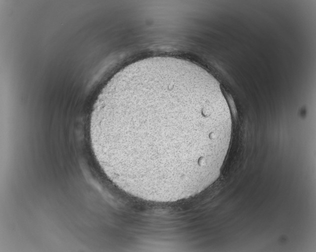 X0000115210738200911251507