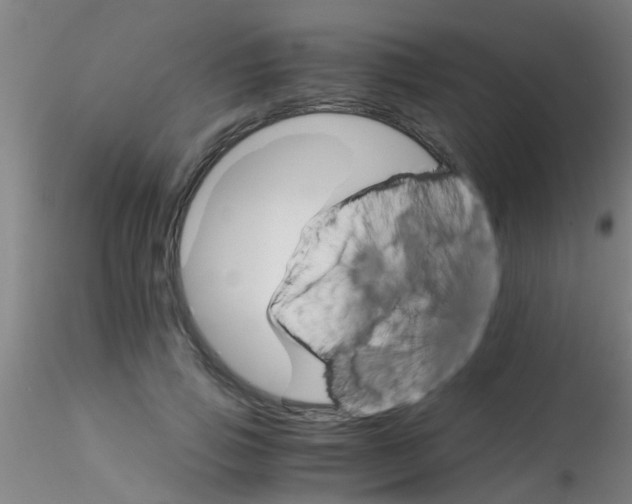 X0000115210741200911251507