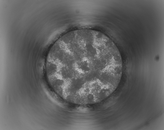 X0000115210742200911251507